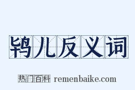 鸨儿反义词是什么意思的图片